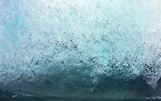 de natura – drei Sonderausstellungen in der Pfalzgalerie Kaiserslautern