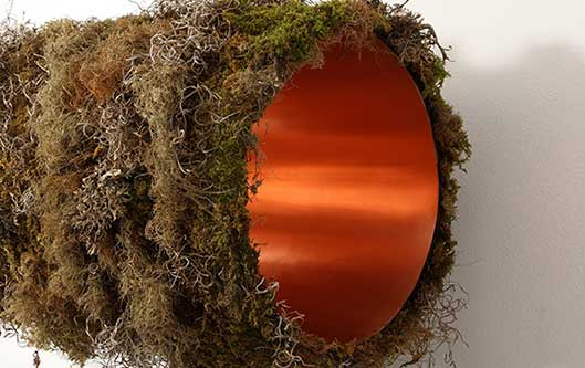 Nature unlimited – Museum Art.Plus (Donaueschingen)
